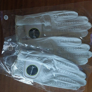 X스파이더스골프 장갑 이미지