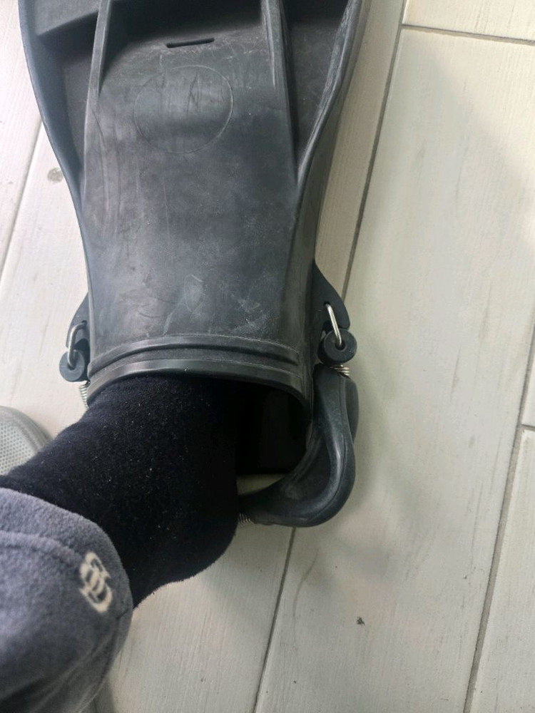 제트핀 (대만산) 이미지