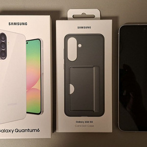 퀀텀6 단순개봉 S급