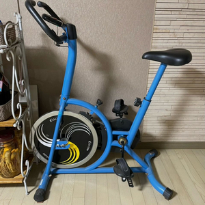 이고진 스피닝 자전거 이미지