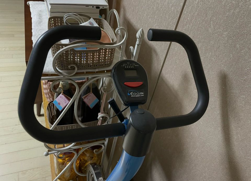 이고진 스피닝 자전거 이미지