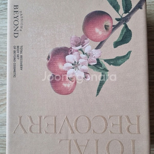 비욘드 바디워시, 바디에멀전 / 바디 스킨케어 세트