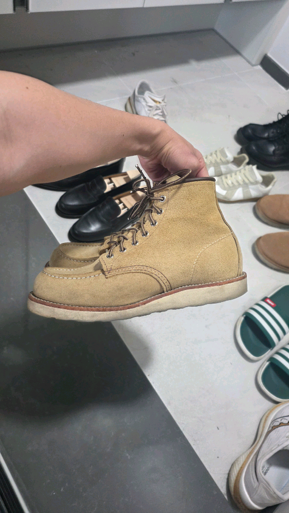 9D 사이즈 레드윙 8833 판매합니다--1