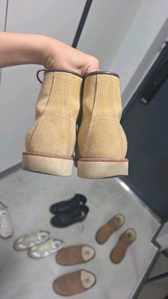 9D 사이즈 레드윙 8833 판매합니다--2