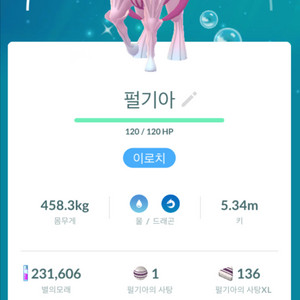 포고 이로치 오리진펄기아 전용기 이미지