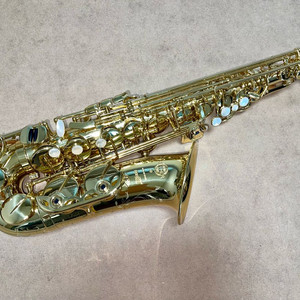 [판매] 셀마 알토 색소폰 쥬빌리3 GG / 셀마 컨셉/ 셀마 S80 C*/ BG L11 리가춰 이미지