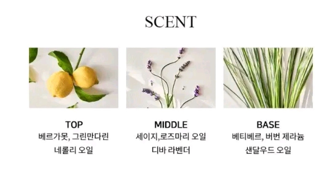 랄프로렌 어스 프로 빈셜 세이지 오드뚜왈렛 100ml 이미지
