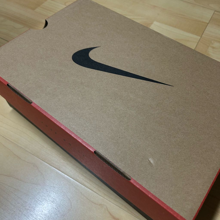 [250] 나이키 조던 11 브레드 로우 이미지