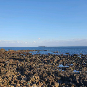 피망 뉴맞고 삽니다 이미지