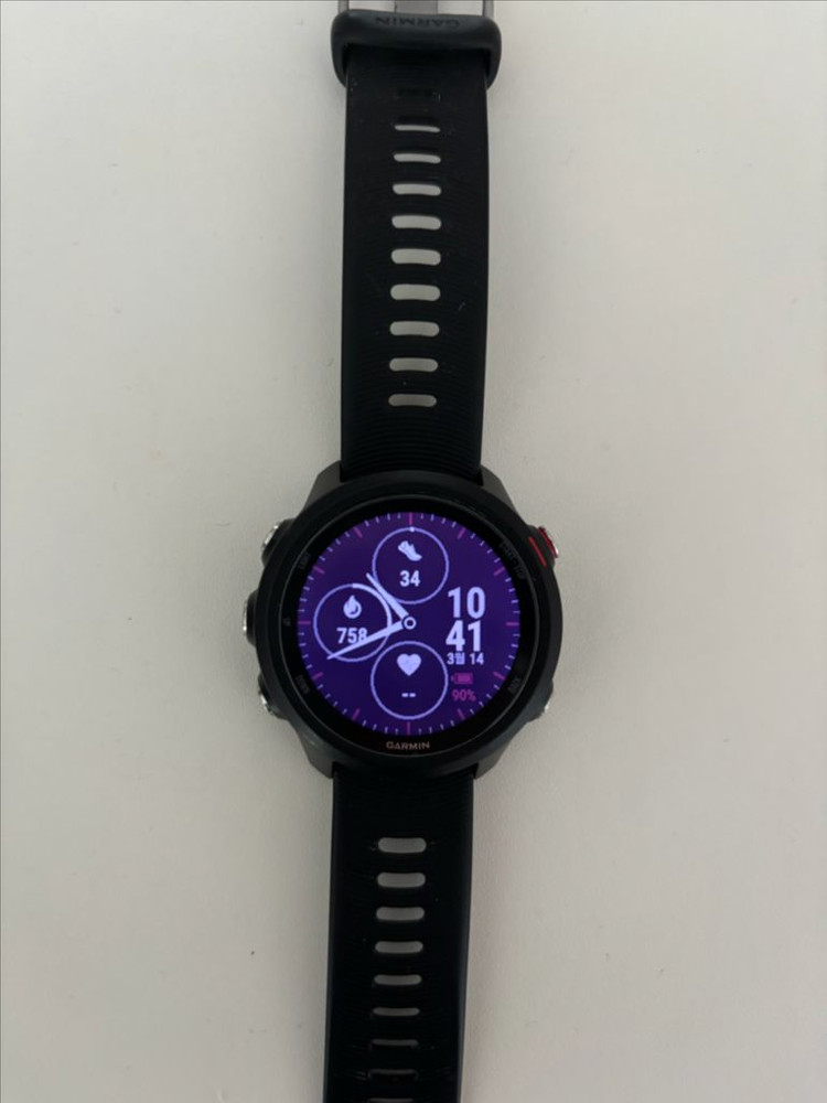 가민 포러너 245 뮤직--2