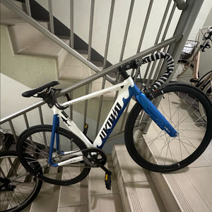 2025 언노운 샤크 이미지