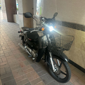 혼다 슈퍼커브 24년식 이미지