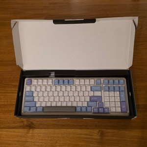 독거미 키보드 F99 퍼플