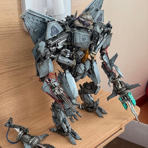 t10 스타스크림 량량스튜디오 리페인팅 및 개조작