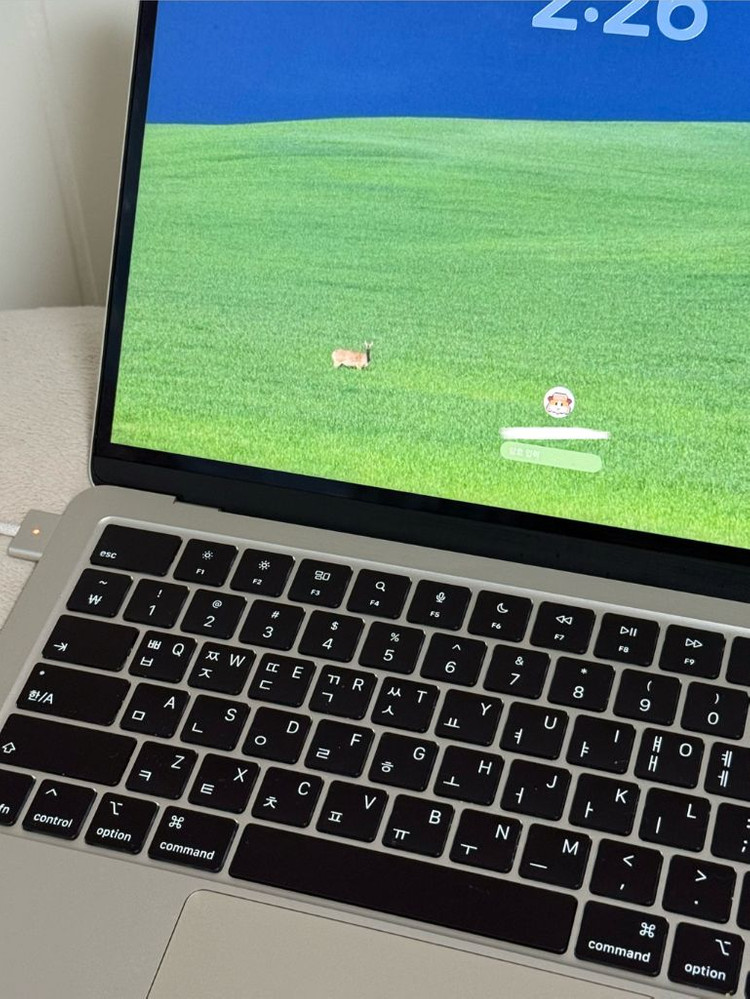 맥북 에어 13 M4 16GB/256GB 이미지