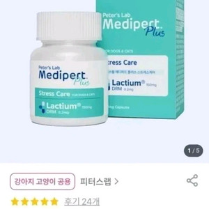 반려동물 분리불안 스트레스 영양제