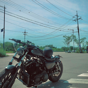 할리데이비슨 아이언883 바버커스텀 블랙 판매합니다.