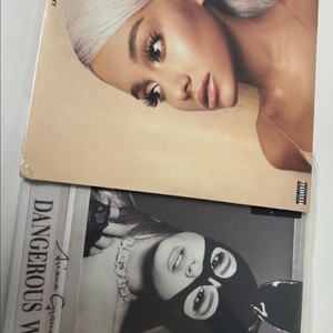 아리아나 그란데 LP 컬러반 일괄