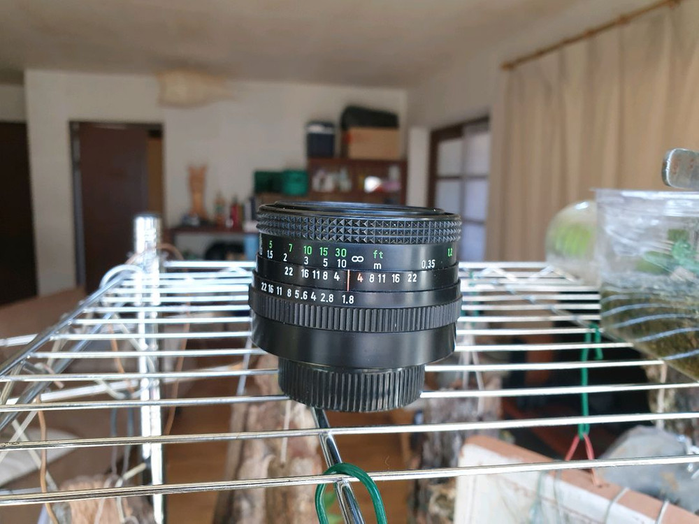 PANCOLAR-50mm f/1.8 수동렌즈 이미지