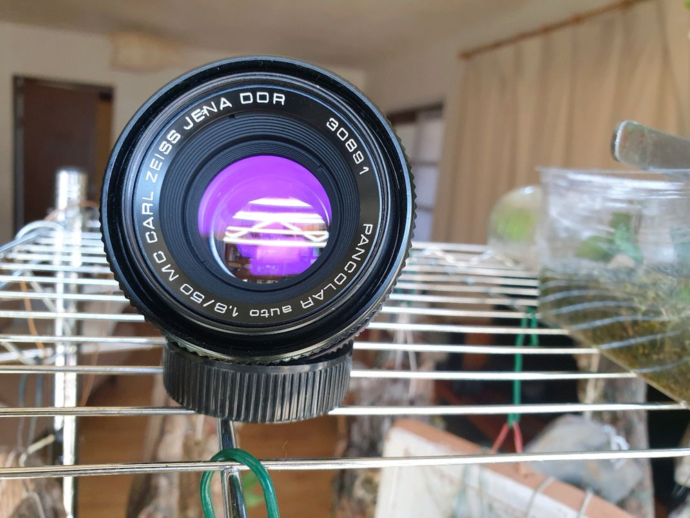 PANCOLAR-50mm f/1.8 수동렌즈 이미지