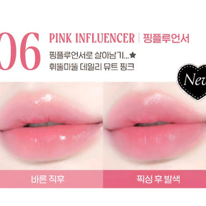 페리페라 잉크 더 젤러블 틴트 06 핑플루언서