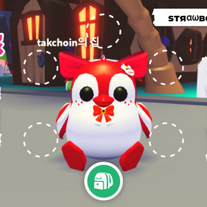 입양하세요 페팽 이미지