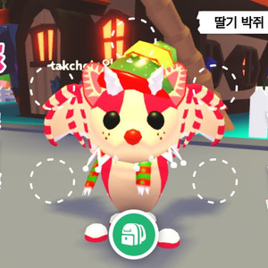 입양하세요 딸박 이미지