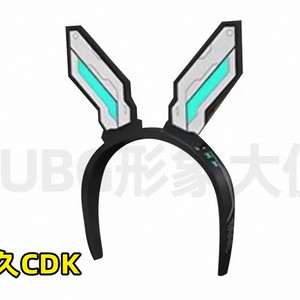 배그 스킨 사이버 래빗 머리띠 코드 이미지