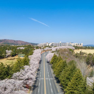 (3월 4월 5월) 설악비치/ 설악밸리/ 경주/ 켄싱턴 리조트!!