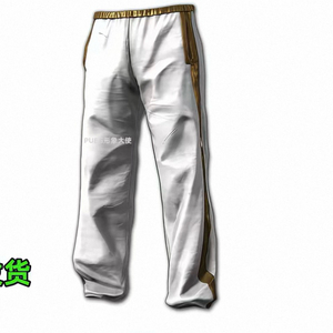 배그 스킨 고풍스러운 바지 코드 이미지