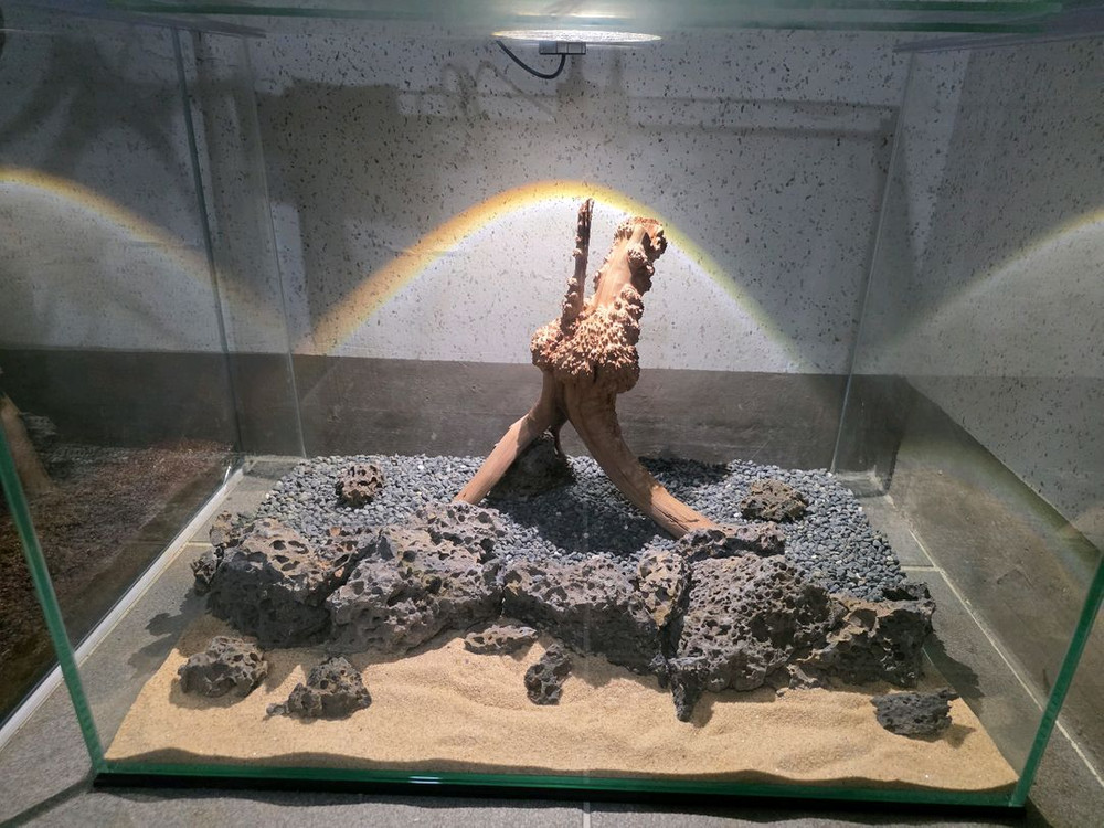 45 30 32 어항 판매--2