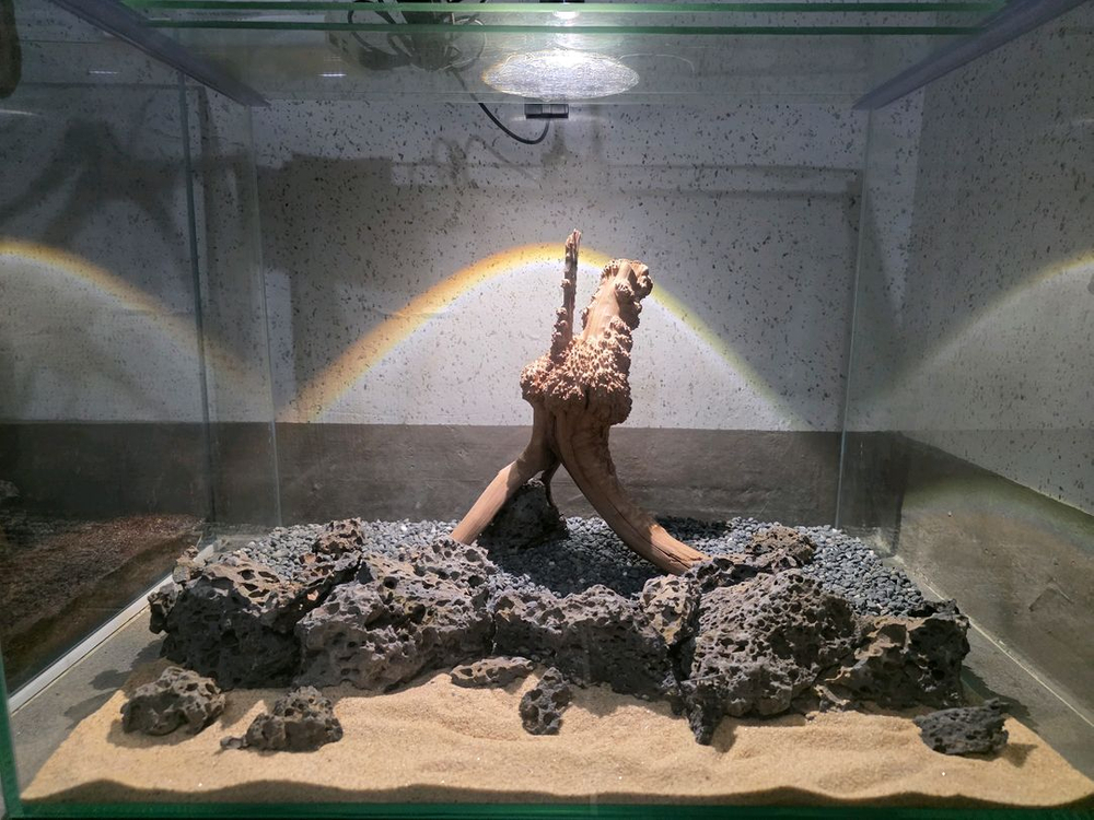 45 30 32 어항 판매--3