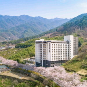 (경남 하동)켄싱턴리조트(로얄스위트)3월27(금)/28(토)/4월3(금)/4(토)~양도합니다