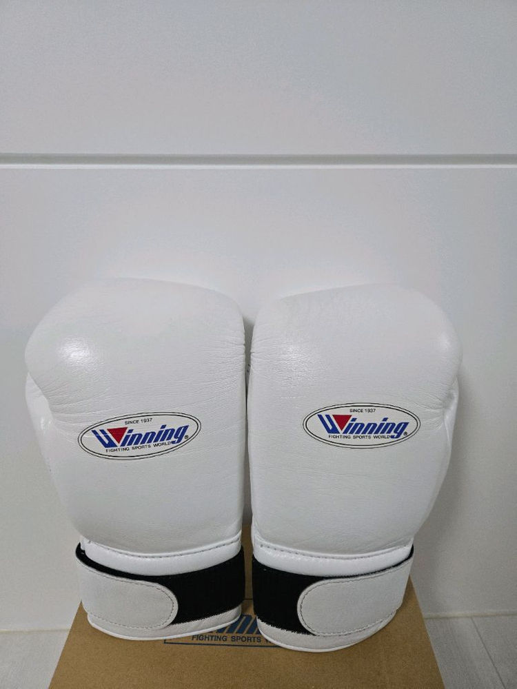 위닝 복싱글러브 14온스 이미지
