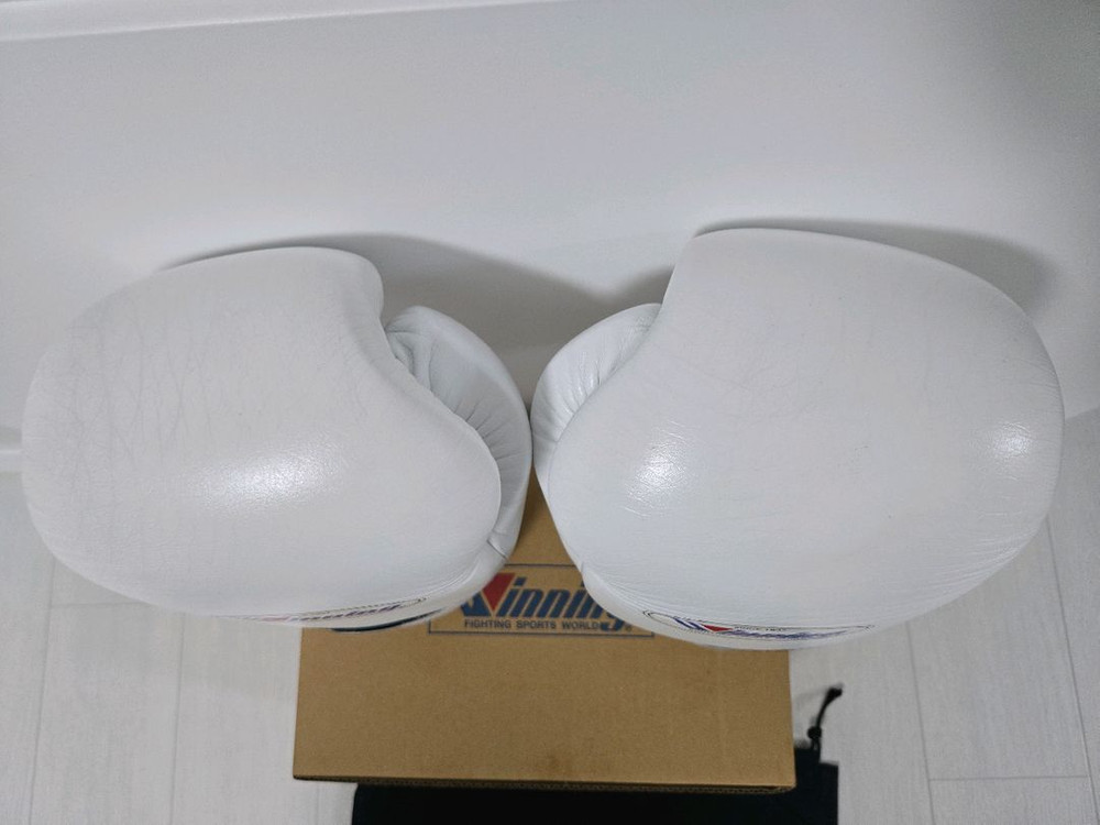 위닝 복싱글러브 14온스 이미지