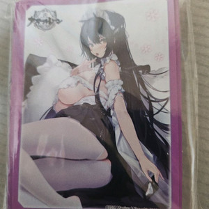 벽람항로 슬리브