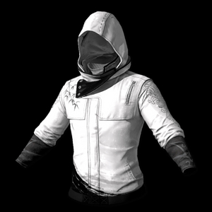 스팀 배그 평정의 자켓 스킨코드 이미지