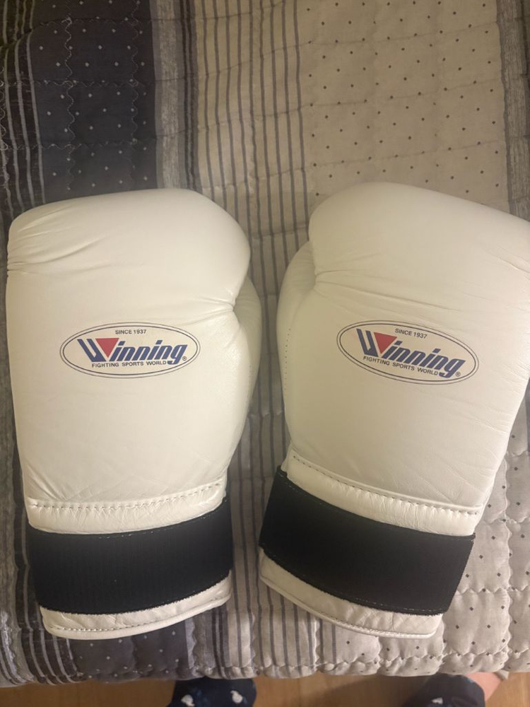 위닝 글러브 14온스 이미지