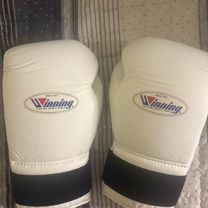 위닝 글러브 14온스 이미지