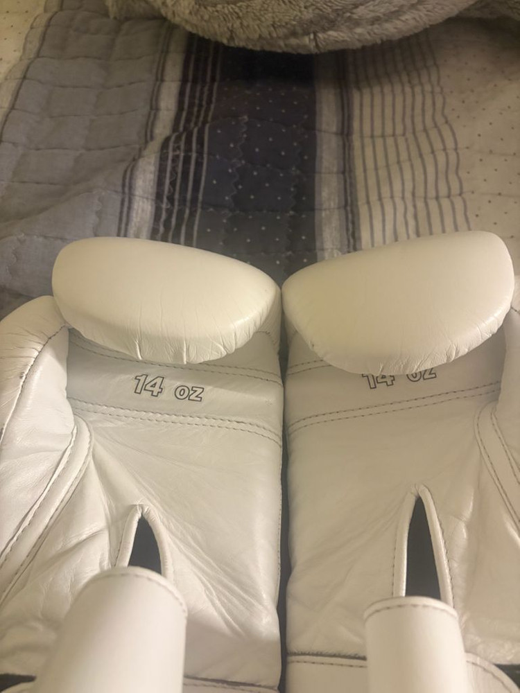 위닝 글러브 14온스 이미지