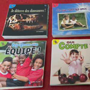 레디리더스 논픽션 프랑스어