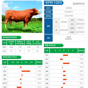 한우 정액 1203팝니다 이미지
