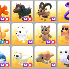 입양하세요 메가펫 판매해요! 이미지