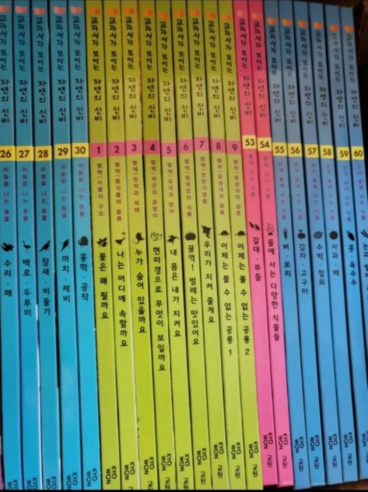 교원교과서가보이는 자연의신비 69권 전집 이미지