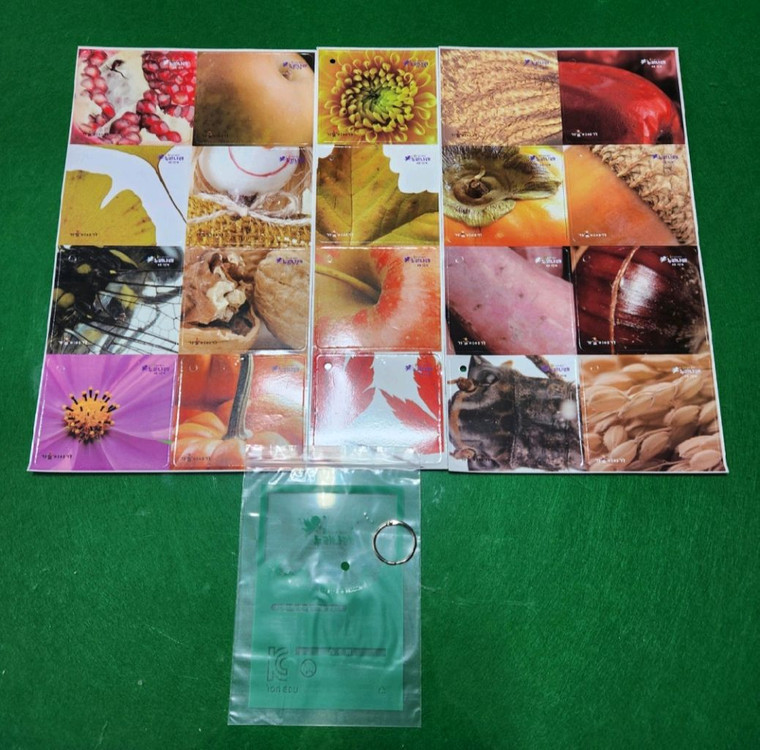 [새제품] 놀이중심 누리나래 통합프로그램 교구교재세트(1-8호) 이미지