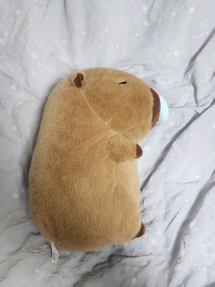 콧물 흘리는 카피바라 인형 이미지