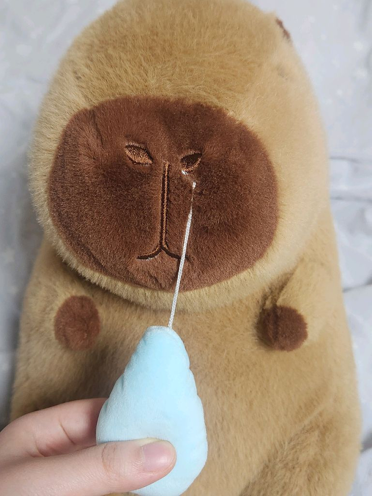 콧물 흘리는 카피바라 인형 이미지
