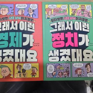 그래서 이런 시리즈 정치 경제 2권