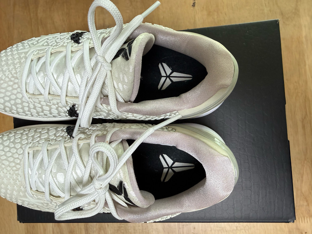 코비6 프로트로 세일 260 판매--6