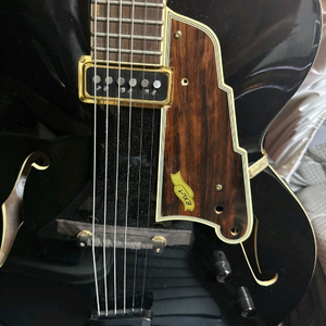 할로우바디 일렉기타 디안젤리코 국산 이미지